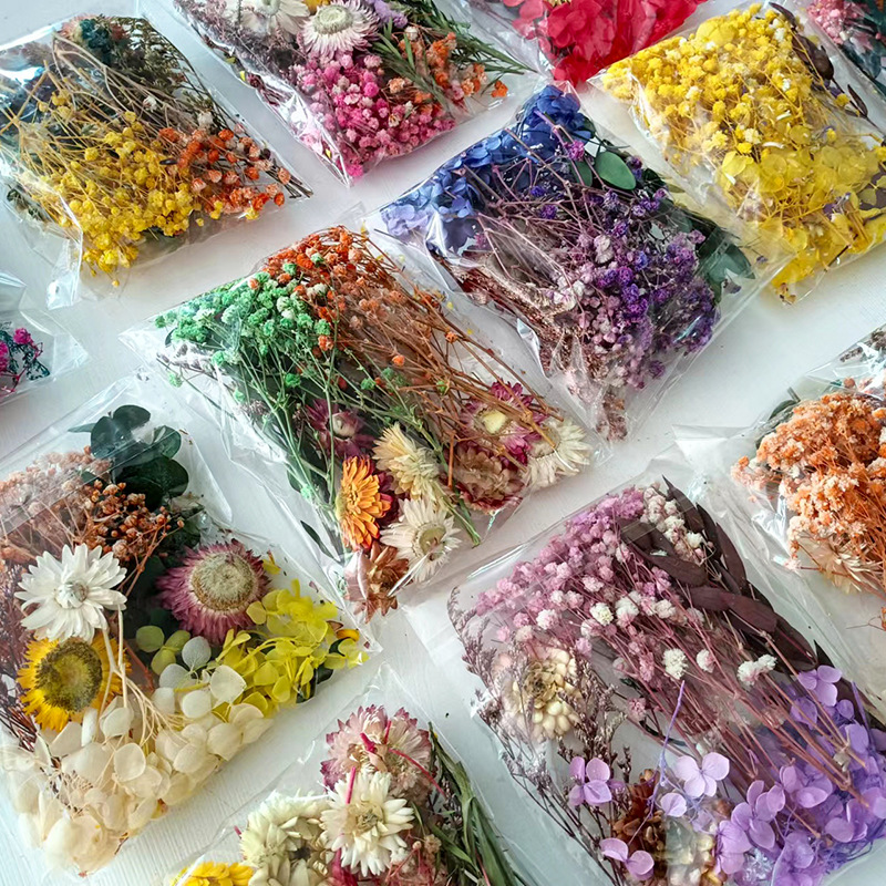 ชุดดอกไม้แห้งหลากหลายชนิด 1 แพ - Craft Embellishment บทวิจารณ์และราคา